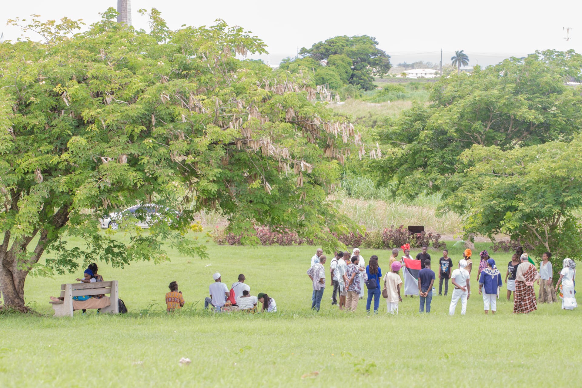 A Sankofa cultural gathering in the green Barbados countryside